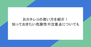 おカネレコの使い方を紹介！知っておきたい危険性や注意点についても